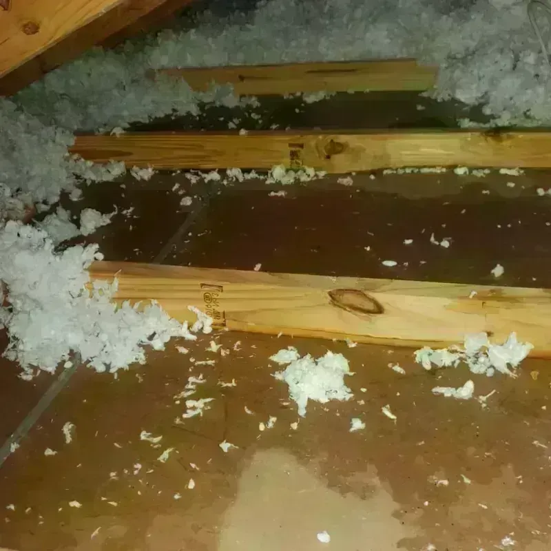 Attic Water Damage in Amesbury, MA